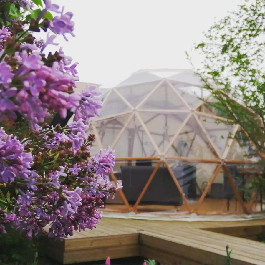 Hotel Le Dome Aux Oiseaux Bérig-Vintrange Exteriér fotografie